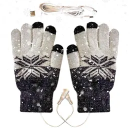 Teppiche Gestrickte Handschuhe USB Beheizte Winter Vollfinger Fäustlinge Handwärmer Männer Frauen Verdicken Radfahren Schnee Skifahren