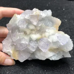 装飾的な置物482.9gnatural Purple Fluolite and Quartz Mineral Stone Home Decoration Aura Meditation Healing Teaching Crystal Gem
