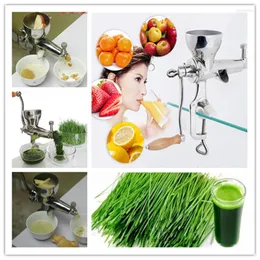 Juicers High Quality Passion Fruit Ginger Wheat Grass Juicer Extractor Machine ZF