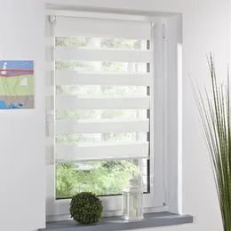 Fashion Roller Zebra Blind Curtain Window Shade Decor Home Office White241I