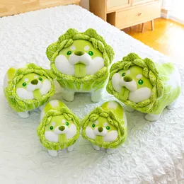 Valp docka plysch leksak docka sovande kudde mäns och kvinnors födelsedagspresent grönsak alf kålhund