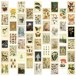 Obrazy vintage estetyczne kolażu ścienne Zestaw 50 mini botaniczny cottagecore plakaty sztuki 4x6 cala dla modnych p o 230308