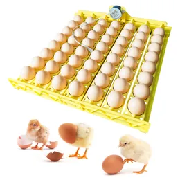 Small Animal Supplies Multifunction 56 Plastic Incubator Egg Tray Automatic Turn with Motor for Chicken Duck s Incubation Equipment 230307