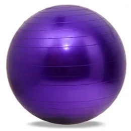 5 Farben 65 cm Gesundheit Yoga Fitness Ball Yoga Bälle Pilates Sport Fitball Proof Bälle Anti-Rutsch für Fitness Training1281p