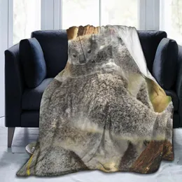 Filtar djur 3d tryckning koala tryckt filt sängäcke retro sängkläder fyrkantig picknick mjuk