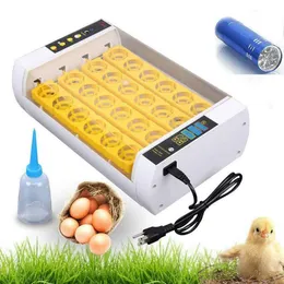 24 Incubatrice per uova Hatcher Controllo automatico della temperatura di rotazione Spina degli Stati Uniti3011