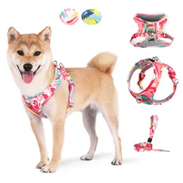 Colares de gato lidera Yokee Dog Harness Moed para cães pequenos Cole