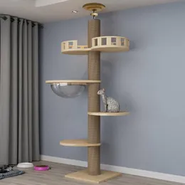 고양이 가구 스크래퍼 255265cm 타워 기둥이있는 해먹 장난감 침대 바구니 바구니 집 빅 콘도 천장 터널 홈 러프 둥지 스윙 230309