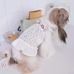 Hundekleidung Frühlings- und Sommerkleid bestickter Rock A-Linie weißer süßer Stil Preppy Katze Kleidung Teddy Chihuahua ca