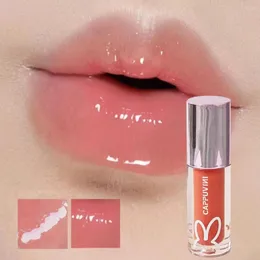 Lip Gloss 2.5g Safe Long Lasting Glaze Beautiful Birthday Gift Mirror Water Glossy