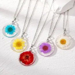 Chains Cute Real Flower Necklace Women Transparent Pressed Daisy Pendant Chain Fashion Sweater