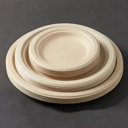 Organisk engångsglasögonplattor Cutlery Bagasse Plate Camping Picknick Eco-vänliga oblekte plattor