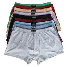 Underpants 100% cotton Big size underpants men's Boxers plus size large size shorts breathable cotton underwear 5XL 6XL 4pcslot 230310