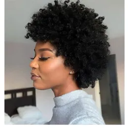 charmante neue Frisur weiches indisches Haar Afro Afroamerikaner Kurzvertecke lockige Simulation menschliches Haar Curly natürliche Perücke für Frauen2815