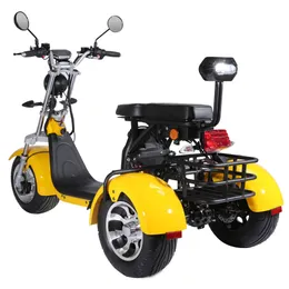 EEC 3ホイール電気オートバイアダルトトリサイクル電気スクーター2つのバッテリーはオプションです
