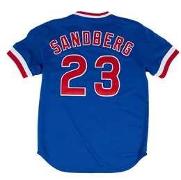 Stitched Baseball Jerseys 23 Ryne Sandberg 1984 1987 Men Women Youth S-4XL Mesh Classics Retro Jersey