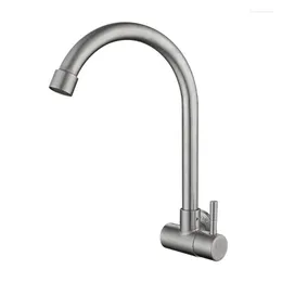 Kitchen Faucets SKOWLL Sink Faucet Wall Mounted Single Hand Hole Cold Water Tap Brushed Nickel CL-30