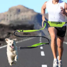 Hundhalsar Infällbara händer Free Pet Leash för att köra jogging sportträning med reflekterande strip justerbar midjebälte