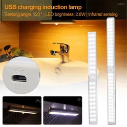 Night Lights 30cm 40cm 40 60 LED USB Charging Cabinet Light Magnetic Strip Closet Lamp With Hand Sweep Switch PIR Motion Sensor