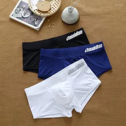 Underpants Men Fashion Brand Designer Underwear Male Briefs Pant Low Rise Comfortable Breathable Vintage Boxer Arrival