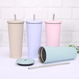 New 750ML 304Stainless Steel Straw Cup Large Capacity Vacuum Solid Color Coffee Tumbler Cup