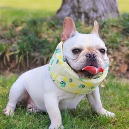 Dog Apparel Collar de resfriamento ajustável Bandana sem gelo para fora dos acessórios de porta