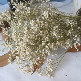 Dekoratif Çiçek Çelenkleri Beyaz Pembe Kurutulmuş Çiçek Çempila Gelin El Çiçeği Anne ve Kızlar İçin Doğum Günü Hediyesi Toplam 21 Renk 230313