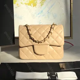 10A Mirror Quality Classic Quilted Square Flap Bag 17cm Mini Designer Womens Handbag Real Leather Caviar Lambskin Black Purse Crossbody Shoulder Gold Chain Box Boxs