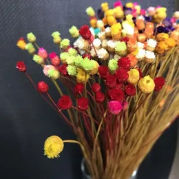 300PCS - 0 3CM Head Real Dried Natural Mini Happy Flower Branch Miniature Dry Flowers Bouquet for DIY Resin Jewellery Home Decor F1832