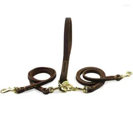 Colliers de chien en cuir double sangles pour chiens animal de compagnie double laisse 2 petit moyen corde de rétraction bidirectionnelle avec fermoir pivotant