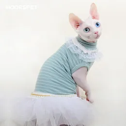 أزياء القط أبو الهول ملابس الصيف الدانتيل الرفيع الأميرة لباس تنورة زبدة لطيفة القطة كيتي فساتين