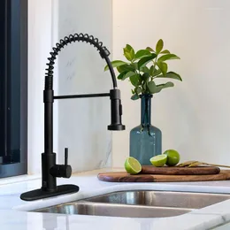 Kitchen Faucets Nickel/Black 304 Stainless Steel Pull-out Sink Faucet Deck Mounted 360° Rotation Stream Sprayer Nozzle Tap
