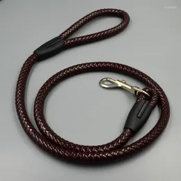 Collari per cani Teddy Rope Chain Small And Medium 1.3cm Medium Leather Pet Supplies Traction PU