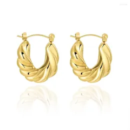 Brincos de argola Wild Free Free Trendy Gold Twisted Metal Mulheres de aço inoxidável charme banhado a água vintage jóias à prova d'água