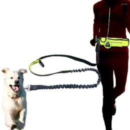 Dog Collars Hand Free Nylon Waist Leash With Pouch Bag Adjustable Elastic Pet Sports Lead Belt Running Jogging Leashes For Small Dogs