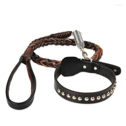 Hundehalsbänder Haustierhalsband und Leine Set Leder verstellbar für mittlere große Rindsleder Frühling Design Luxus-Accessoires