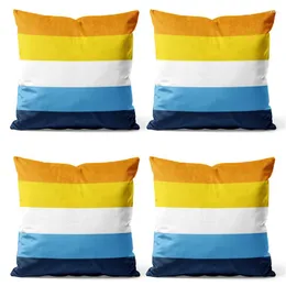 Poduszka 18 '' x zestaw 4 Aroace Pride Flag aromantyczny Aseksualny kwadratowy rzut okładki przypadki poduszki 45 cm