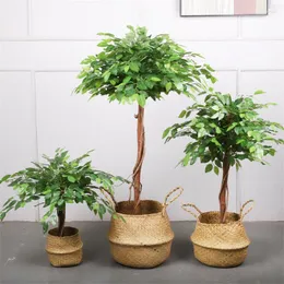 Fiori decorativi Simulazione Banyan Mini Piccola pianta verde Decorazione paesaggistica per interni ed esterni in vaso