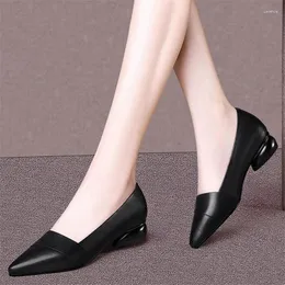 Dress Shoes Women Fashion Wine Red High Quality Slip On Square Heel Pumps Lady Casual Black Office Femmes Hauts Talons E5975