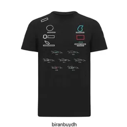 Camisetas masculinas de ciclismo F1 Racing Team Team