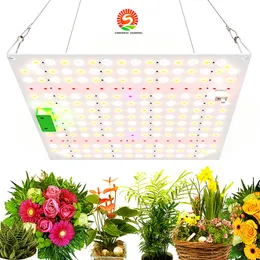 Full Spectrum LED Grow Light for Indoor Plants, 60W 120W Growing lamp for Seeding Veg bloom Flower, Greenhouse grow tent hanging kit Fixtures square 20cm 30cm sun-like