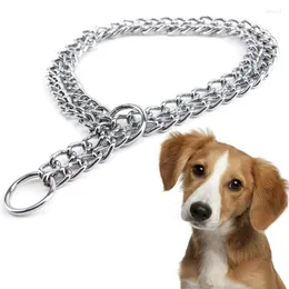 Collari per cani Doppia fila in acciaio inossidabile Metallo Pet Training Choke Collar Slip Snake Chain per Golden Retriever Collana grande