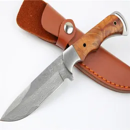 High Quality Outdoor Survival Straight Hunting Knife Damascus Steel Drop Point Blade Full Tang Shadow Wood Handle Fixed Blades Kni252t