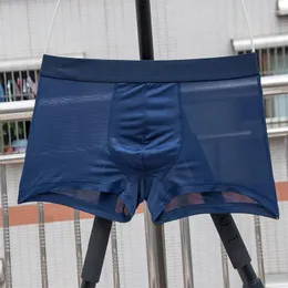 Cuecas boxers masculinos transparentes protuberaem seda de gelo, veja através da calcinha de calcinha baixa da calcinha baixa da cintura íntima