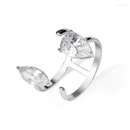 Ringos de cluster 2023 Moda elegante anel de zirconia para mulheres para mulheres Simples requintado jóias amizade do presente amigo