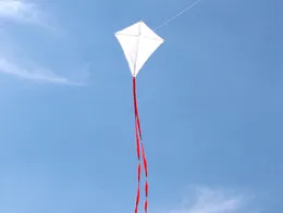 Accessori per aquiloni per bambini aquilone fai da te in bianco 10 pezzi lotto insegnamento pittura maniglia linea giocattoli da esterno volare albatro fabbrica 230320