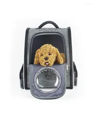 Coprisedili per auto per cani Zaino da trasporto per animali da viaggio all'aperto Zaino pieghevole reversibile per il trasporto di cani e gatti Viaggio a mani libere per