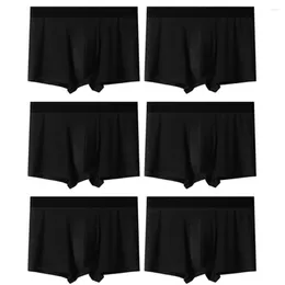 MUITAS PONTAS 6 PCS/LOTE MENINO BOA