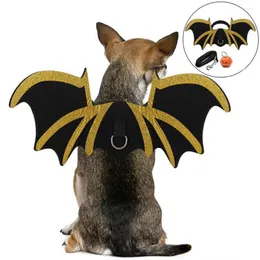 Colarinhos de cachorro asas de morcego de gato com fita adesiva ajustável e sino de abóbora fantasias roupas de roupas de halloween para festa de máscaras