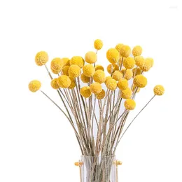 装飾的な花40pcs乾燥Craspedia Billy Button Balls Flower Bouquet for Arrangement